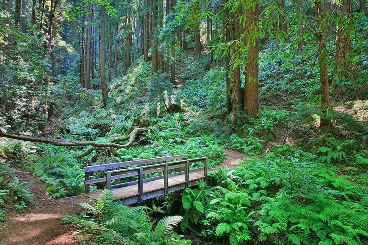 Montara Beach Mountain Escape المظهر الخارجي الصورة