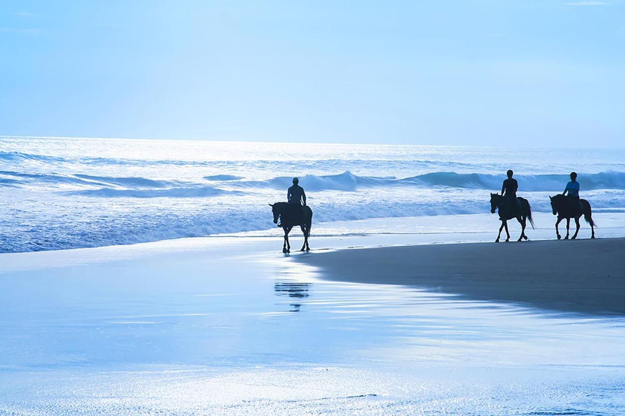 Montara Beach Mountain Escape المظهر الخارجي الصورة